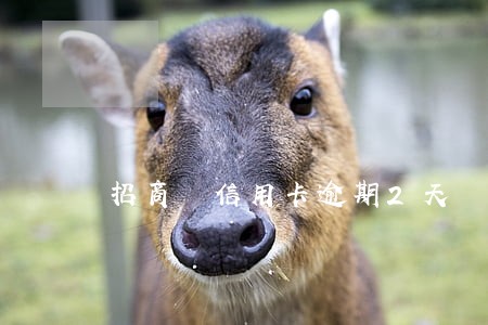 招商 信用卡逾期2天 招商 信用卡逾期2天